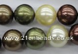 CSB1128 15.5 inches 14mm round mixed color shell pearl beads