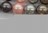 CSB1140 15.5 inches 14mm round mixed color shell pearl beads