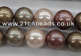 CSB1141 15.5 inches 14mm round mixed color shell pearl beads