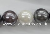 CSB1150 15.5 inches 16mm round mixed color shell pearl beads