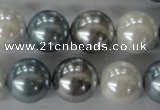 CSB1151 15.5 inches 16mm round mixed color shell pearl beads