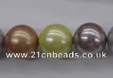 CSB1155 15.5 inches 16mm round mixed color shell pearl beads