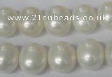 CSB136 15.5 inches 12*15mm – 13*16mm oval shell pearl beads