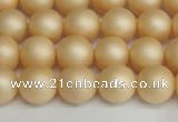 CSB1378 15.5 inches 10mm matte round shell pearl beads wholesale