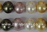 CSB156 15.5 inches 12*15mm – 13*16mm oval mixed color shell pearl beads