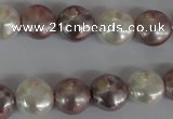 CSB184 15.5 inches 12mm flat round mixed color shell pearl beads