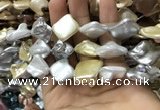 CSB2168 15.5 inches 16*16mm - 18*20mm baroque mixed shell pearl beads