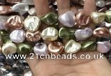 CSB2177 15.5 inches 16*16mm - 20*22mm baroque mixed shell pearl beads