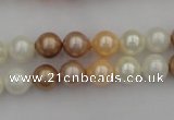 CSB308 15.5 inches 8mm round mixed color shell pearl beads