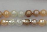 CSB311 15.5 inches 8mm round mixed color shell pearl beads