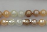 CSB311 15.5 inches 8mm round mixed color shell pearl beads