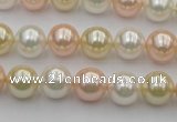 CSB320 15.5 inches 10mm round mixed color shell pearl beads