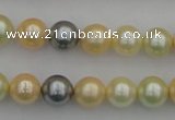 CSB333 15.5 inches 10mm round mixed color shell pearl beads