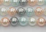 CSB336 15.5 inches 10mm round mixed color shell pearl beads