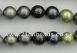 CSB340 15.5 inches 10mm round mixed color shell pearl beads