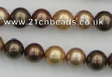 CSB342 15.5 inches 10mm round mixed color shell pearl beads