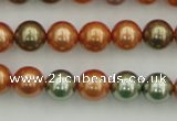 CSB343 15.5 inches 10mm round mixed color shell pearl beads