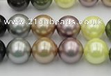CSB364 15.5 inches 12mm round mixed color shell pearl beads