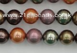 CSB368 15.5 inches 12mm round mixed color shell pearl beads