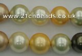 CSB374 15.5 inches 14mm round mixed color shell pearl beads