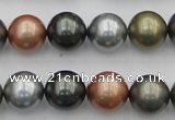 CSB382 15.5 inches 14mm round mixed color shell pearl beads