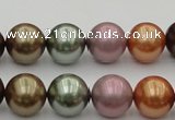 CSB383 15.5 inches 14mm round mixed color shell pearl beads