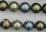 CSB384 15.5 inches 14mm round mixed color shell pearl beads