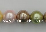 CSB393 15.5 inches 16mm round mixed color shell pearl beads