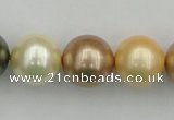 CSB394 15.5 inches 16mm round mixed color shell pearl beads