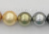 CSB395 15.5 inches 16mm round mixed color shell pearl beads
