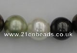 CSB396 15.5 inches 16mm round mixed color shell pearl beads