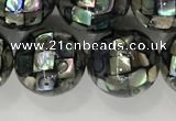 CSB4034 15.5 inches 14mm ball abalone shell beads wholesale