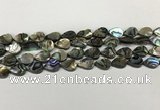 CSB4135 15.5 inches 8*12mm flat teardrop abalone shell beads