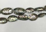 CSB4179 15.5 inches 13*30mm - 15*35mm freeform abalone shell beads