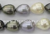 CSB552 15.5 inches 12*15mm whorl teardrop mixed color shell pearl beads