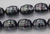 CSB586 15.5 inches 13*16mm whorl oval shell pearl beads