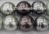 CSB651 15.5 inches 18mm whorl round mixed color shell pearl beads