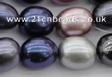 CSB680 15.5 inches 16*19mm oval mixed color shell pearl beads