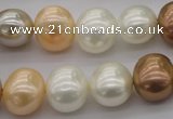 CSB695 15.5 inches 13*15mm oval mixed color shell pearl beads