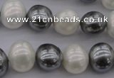 CSB697 15.5 inches 13*15mm oval mixed color shell pearl beads