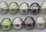 CSB698 15.5 inches 13*15mm oval mixed color shell pearl beads