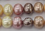 CSB699 15.5 inches 13*15mm oval mixed color shell pearl beads