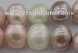 CSB713 15.5 inches 16*19mm oval mixed color shell pearl beads