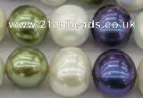 CSB717 15.5 inches 16*19mm oval mixed color shell pearl beads