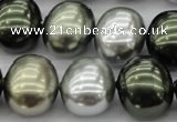 CSB718 15.5 inches 16*19mm oval mixed color shell pearl beads