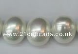 CSB825 15.5 inches 16*19mm oval shell pearl beads wholesale