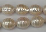 CSB885 15.5 inches 13*16mm whorl teardrop shell pearl beads wholesale