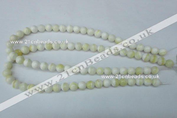 CSB953 15.5 inches 10mm round shell pearl beads wholesale