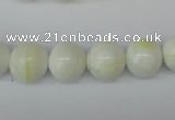 CSB954 15.5 inches 12mm round shell pearl beads wholesale