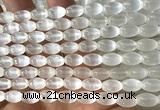 CSE634 15 inches 6*9mm rice selenite beads wholesale